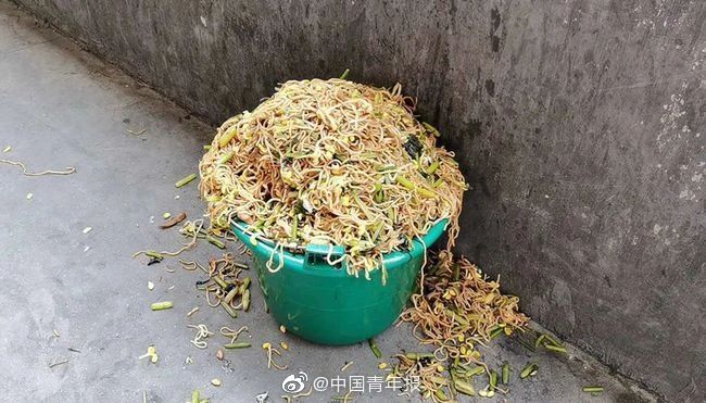 “营养餐被倒溢出垃圾桶”是个伪问题