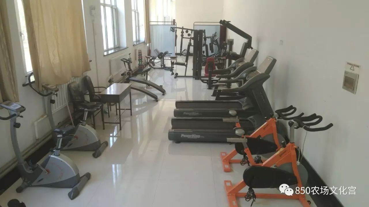 文化宫健身房管理员张萌：跑步机对瘦腿的帮助及方法